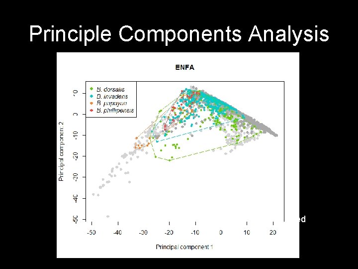 Principle Components Analysis Expert ENFA-derived 