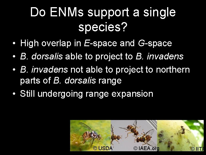 Do ENMs support a single species? • High overlap in E-space and G-space •