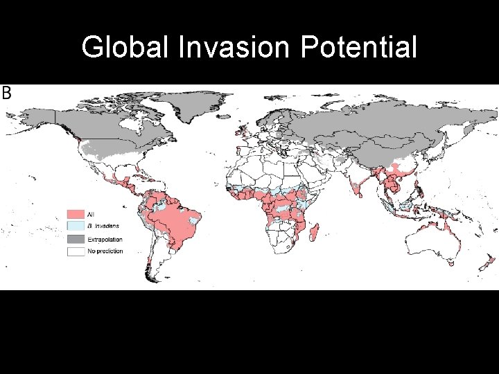 Global Invasion Potential 