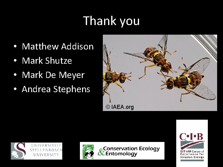 Thank you • • Matthew Addison Mark Shutze Mark De Meyer Andrea Stephens ©