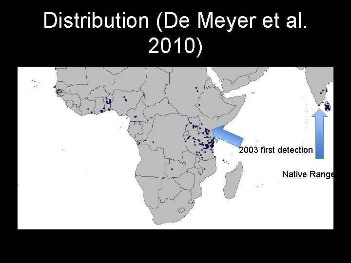 Distribution (De Meyer et al. 2010) 2003 first detection Native Range 