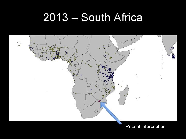 2013 – South Africa Recent interception 
