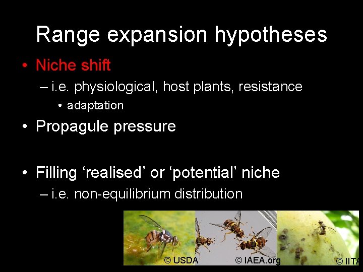 Range expansion hypotheses • Niche shift – i. e. physiological, host plants, resistance •
