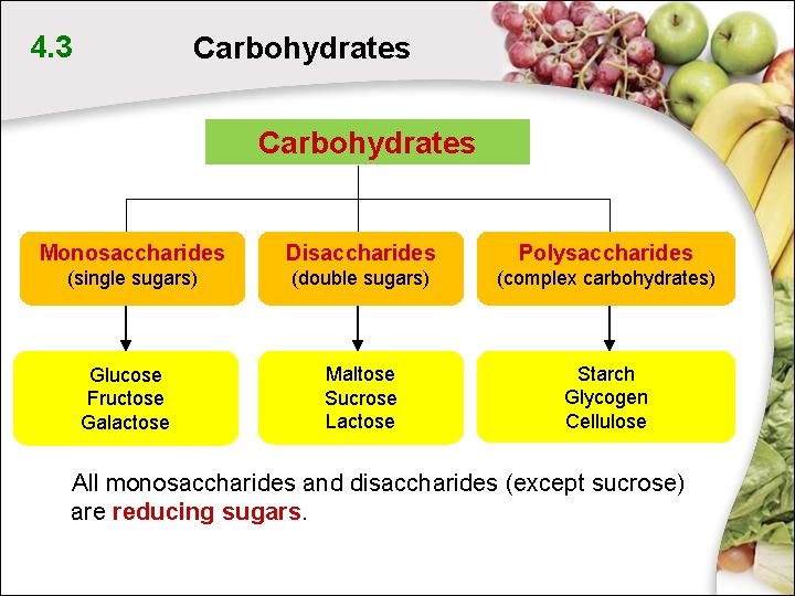 4. 3 Carbohydrates Monosaccharides Disaccharides Polysaccharides (single sugars) (double sugars) (complex carbohydrates) Maltose Sucrose 4. 3 Carbohydrates Monosaccharides Disaccharides Polysaccharides (single sugars) (double sugars) (complex carbohydrates) Maltose Sucrose