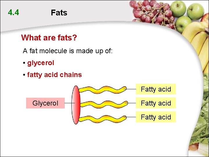 4. 4 Fats What are fats? A fat molecule is made up of: • 4. 4 Fats What are fats? A fat molecule is made up of: •