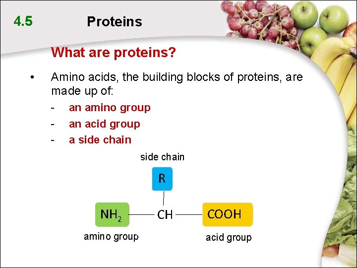 4. 5 Proteins What are proteins? • Amino acids, the building blocks of proteins, 4. 5 Proteins What are proteins? • Amino acids, the building blocks of proteins,