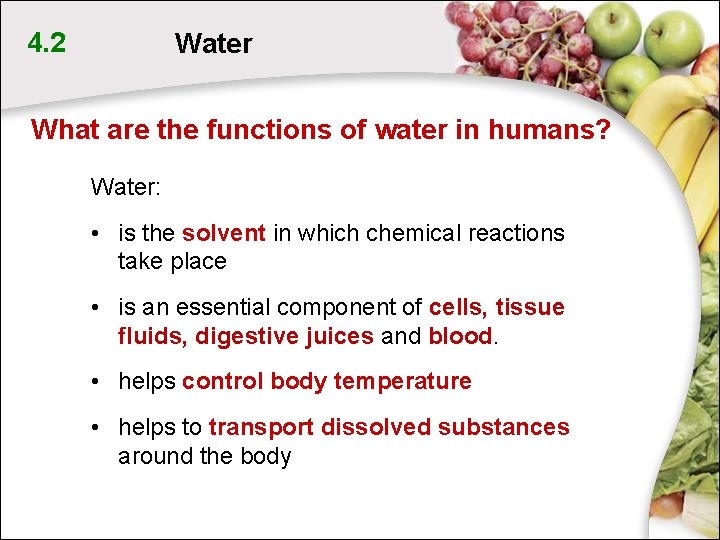 4. 2 Water What are the functions of water in humans? Water: • is 4. 2 Water What are the functions of water in humans? Water: • is