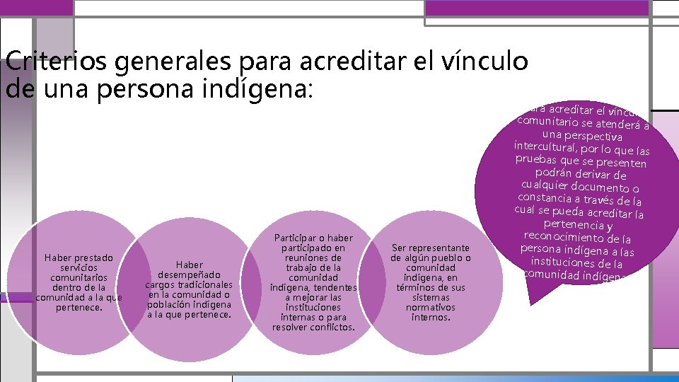 Criterios generales para acreditar el vínculo de una persona indígena: Haber prestado servicios comunitarios
