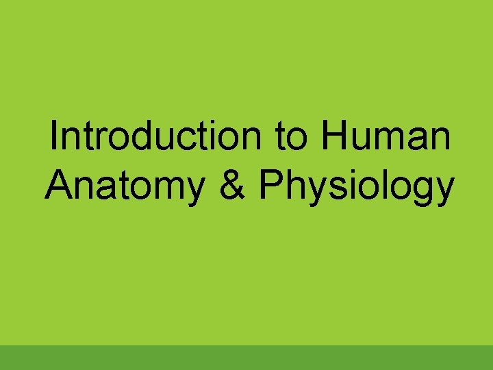 Introduction to Human Anatomy & Physiology 