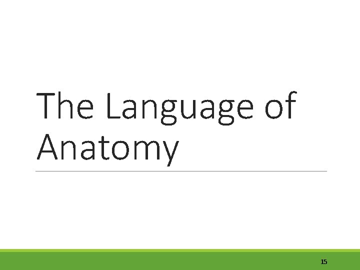 The Language of Anatomy 15 