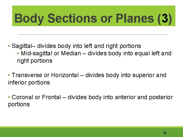 Body Sections or Planes (3) • Sagittal– divides body into left and right portions