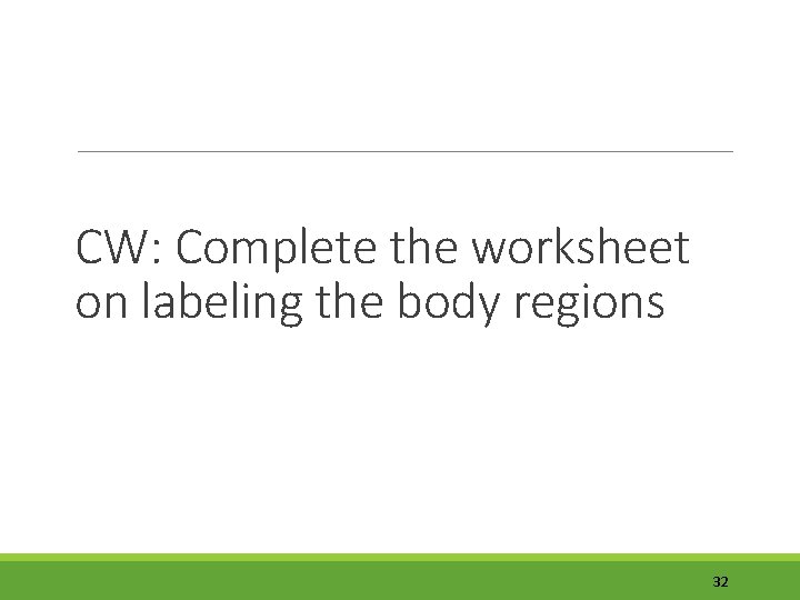 CW: Complete the worksheet on labeling the body regions 32 