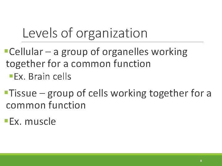 Levels of organization §Cellular – a group of organelles working together for a common