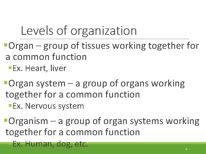 Levels of organization §Organ – group of tissues working together for a common function
