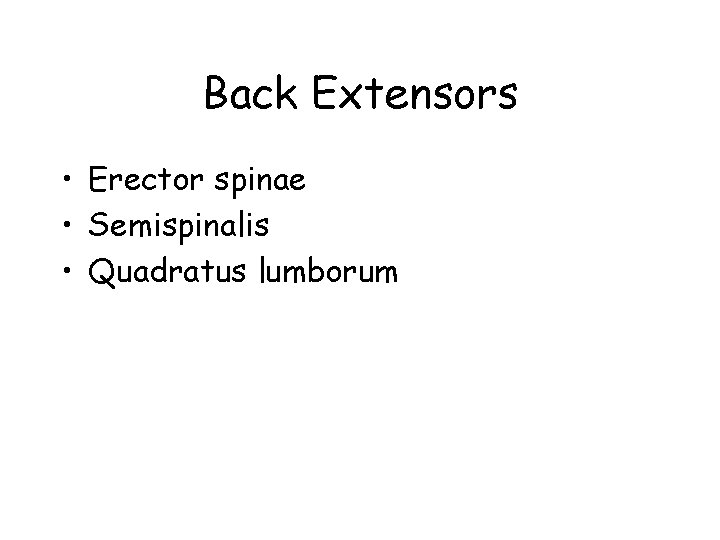 Back Extensors • Erector spinae • Semispinalis • Quadratus lumborum 