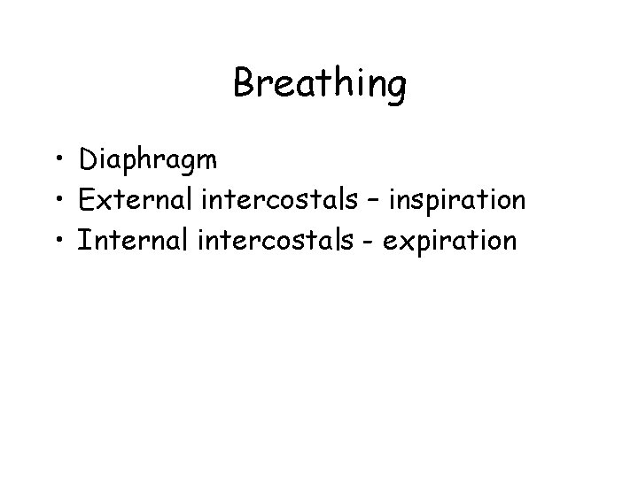 Breathing • Diaphragm • External intercostals – inspiration • Internal intercostals - expiration 