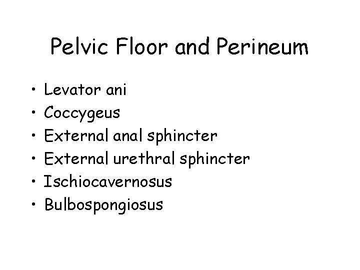 Pelvic Floor and Perineum • • • Levator ani Coccygeus External anal sphincter External
