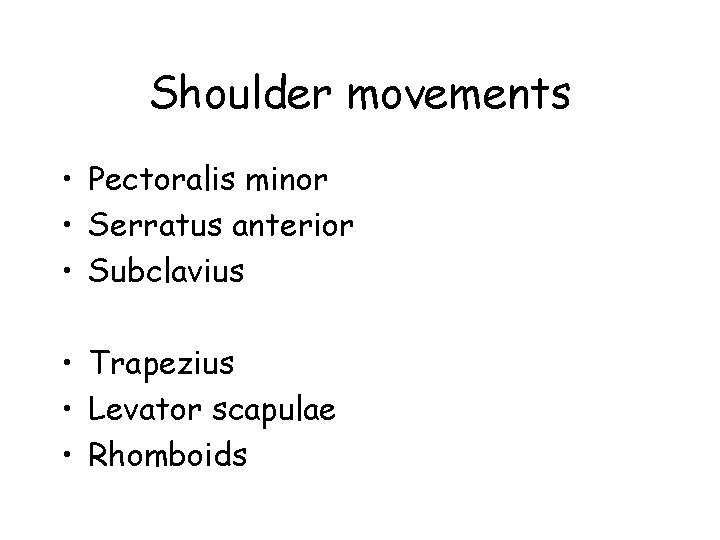 Shoulder movements • Pectoralis minor • Serratus anterior • Subclavius • Trapezius • Levator