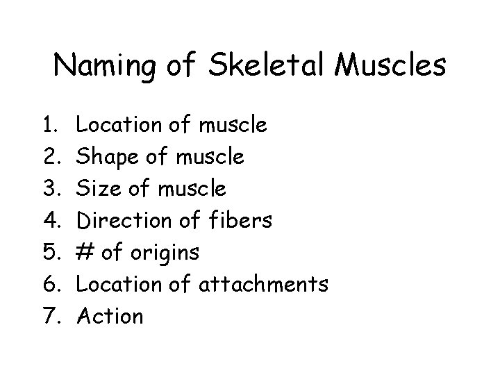 Naming of Skeletal Muscles 1. 2. 3. 4. 5. 6. 7. Location of muscle