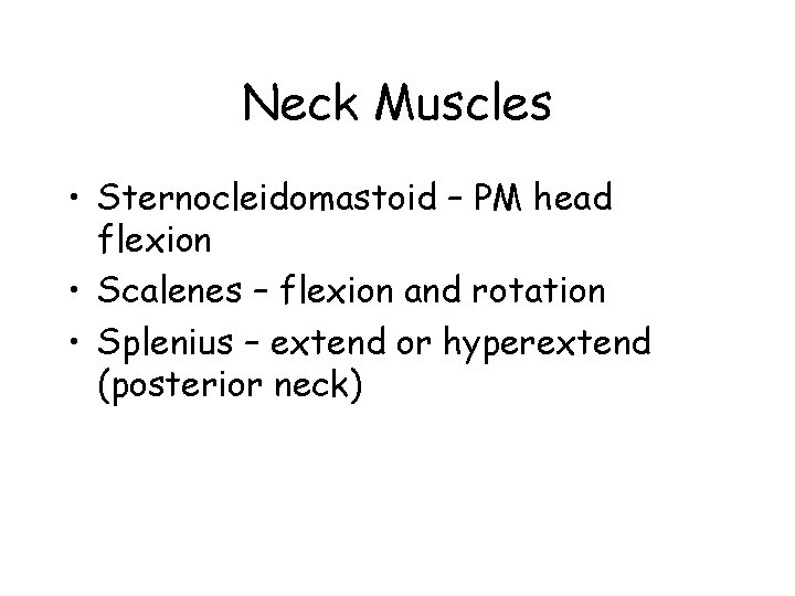 Neck Muscles • Sternocleidomastoid – PM head flexion • Scalenes – flexion and rotation