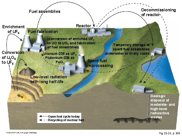 Decommissioning of reactor Fuel assemblies Enrichment Fuel fabrication of UF 6 Reactor (conversion of