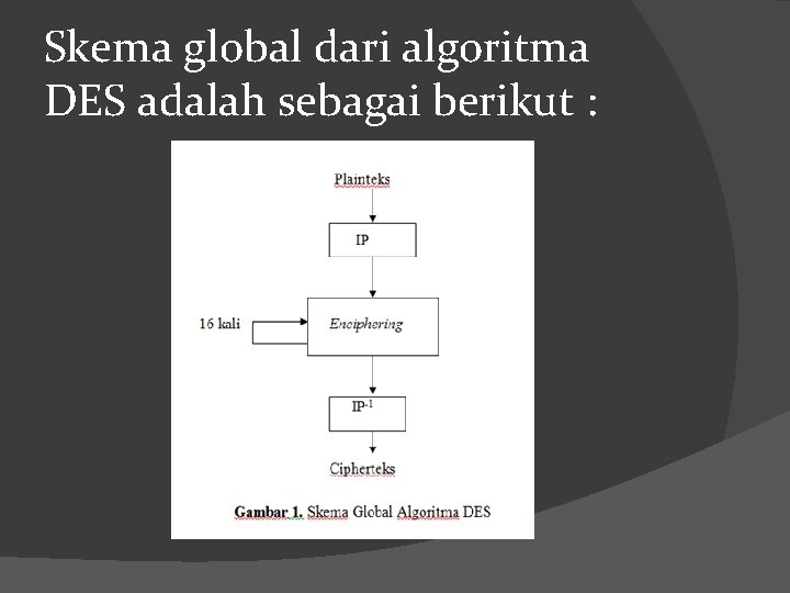 Skema global dari algoritma DES adalah sebagai berikut : 