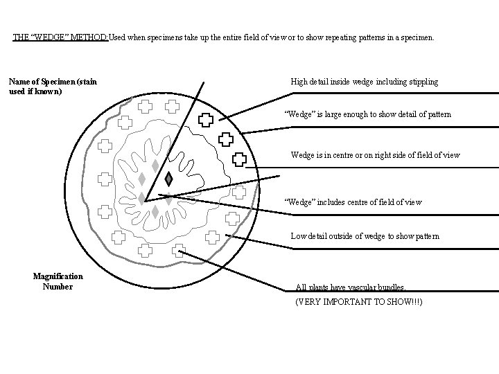 THE “WEDGE” METHOD: Used when specimens take up the entire field of view or