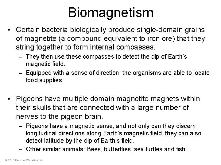 Biomagnetism • Certain bacteria biologically produce single-domain grains of magnetite (a compound equivalent to