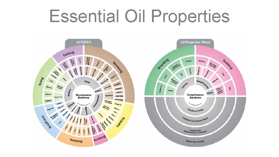 Essential Oil Properties 