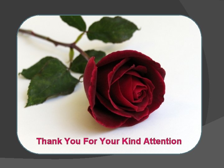 Thank You For Your Kind Attention Thank You For Your Kind Attention