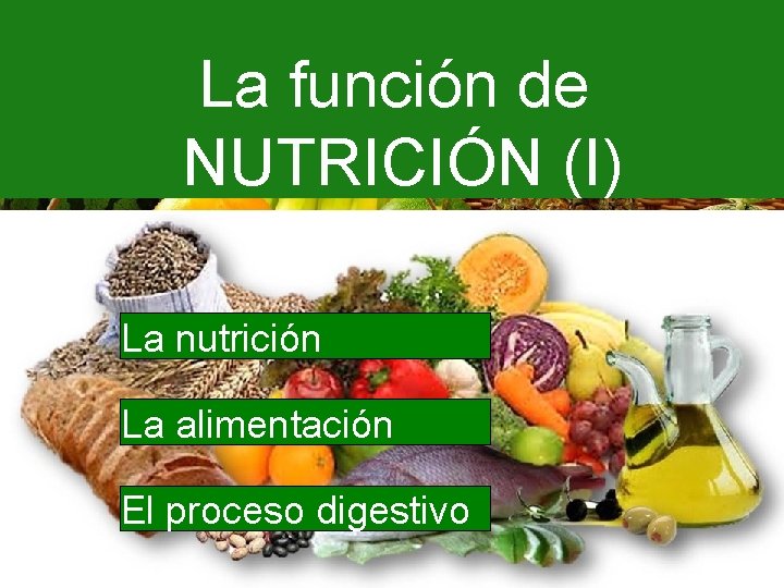 La función de NUTRICIÓN (I) La nutrición La alimentación El proceso digestivo 1 