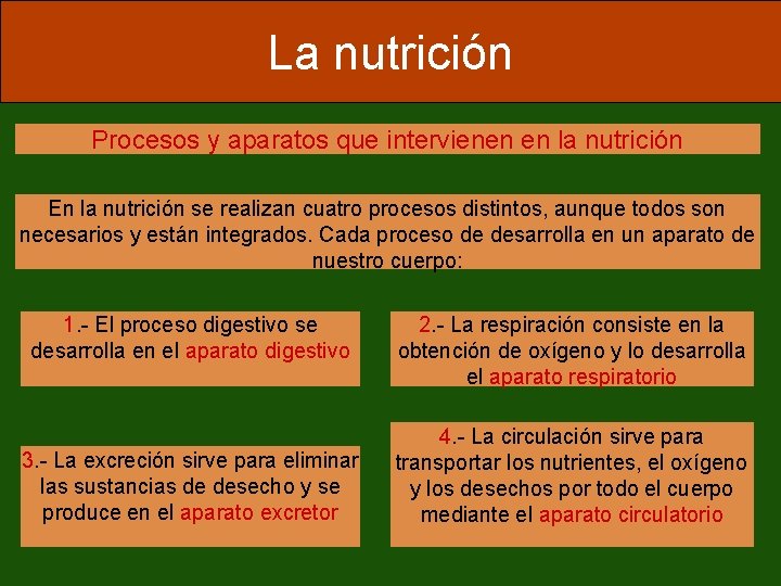 La nutrición Procesos y aparatos que intervienen en la nutrición En la nutrición se