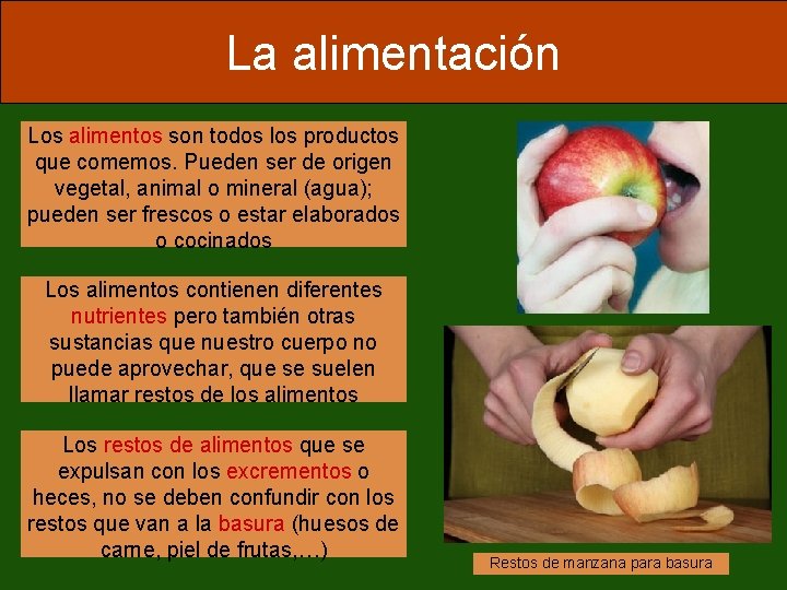 La alimentación Los alimentos son todos los productos que comemos. Pueden ser de origen