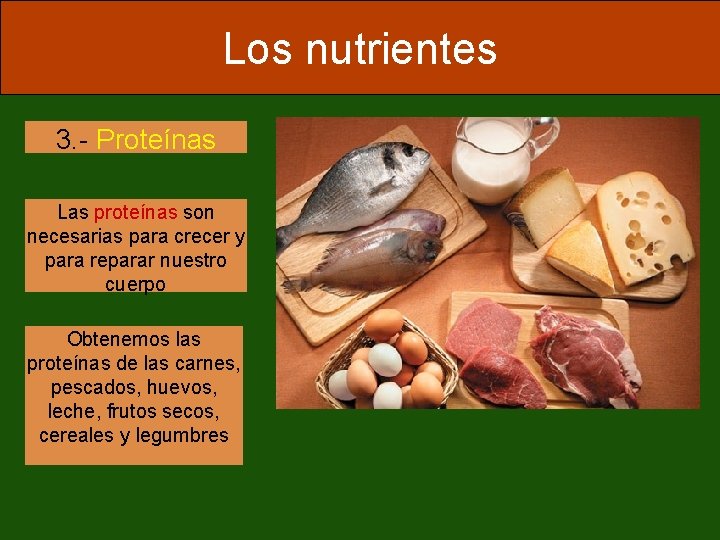 Los nutrientes 3. - Proteínas Las proteínas son necesarias para crecer y para reparar