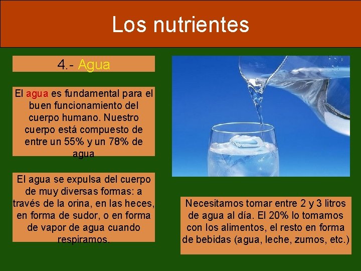 Los nutrientes 4. - Agua El agua es fundamental para el buen funcionamiento del