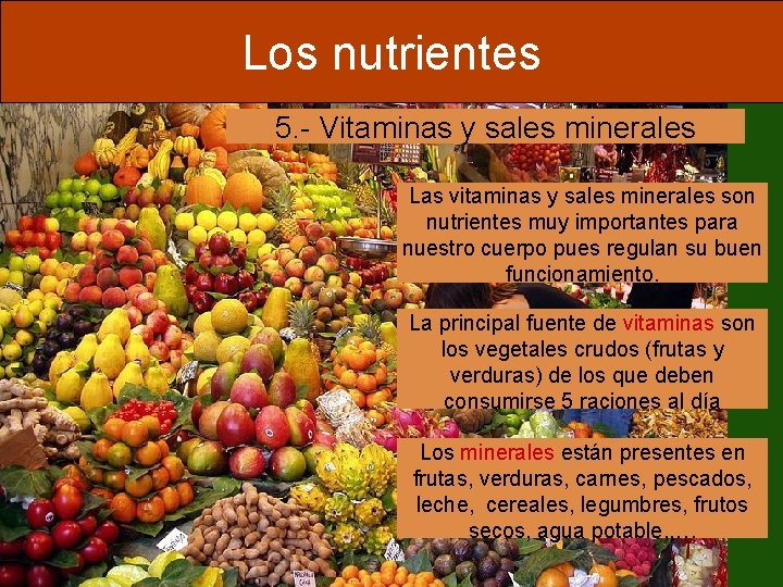 Los nutrientes 5. - Vitaminas y sales minerales Las vitaminas y sales minerales son
