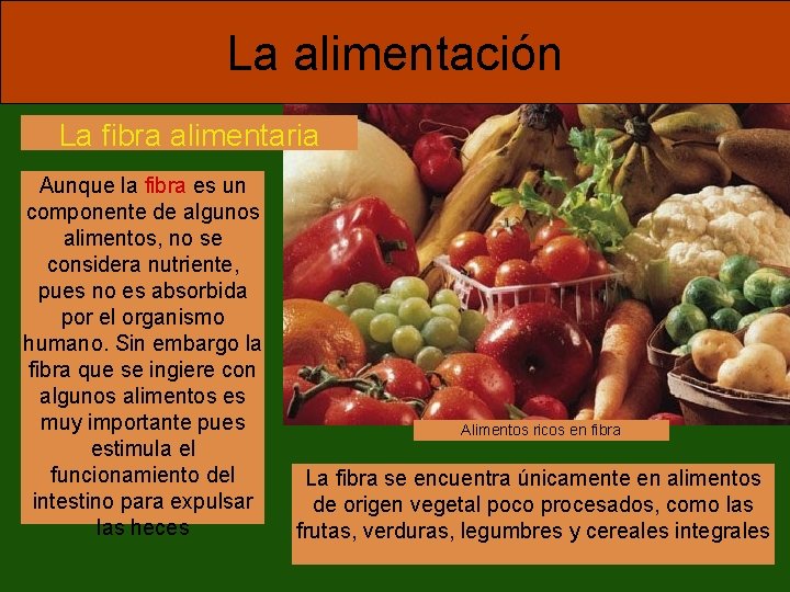 La alimentación La fibra alimentaria Aunque la fibra es un componente de algunos alimentos,