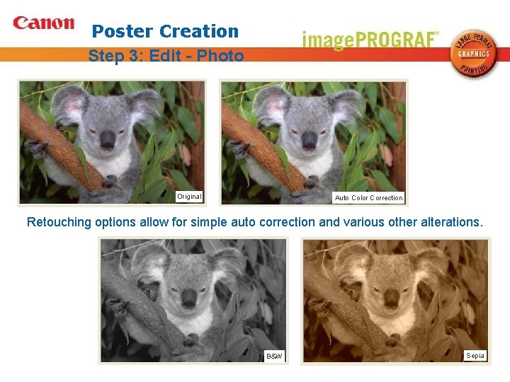 Poster Creation Step 3: Edit - Photo Original Auto Color Correction Retouching options allow