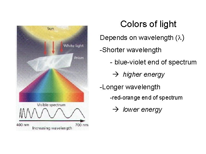Colors of light Depends on wavelength (l) -Shorter wavelength - blue-violet end of spectrum
