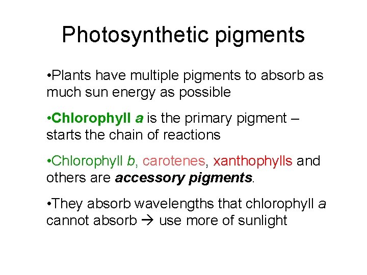 Photosynthetic pigments • Plants have multiple pigments to absorb as much sun energy as