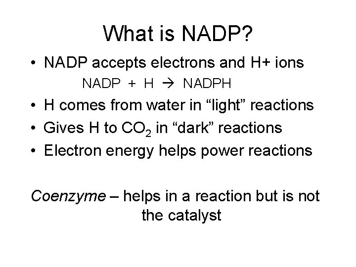 What is NADP? • NADP accepts electrons and H+ ions NADP + H NADPH