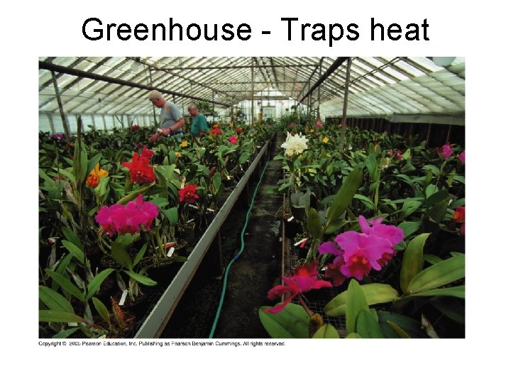 Greenhouse - Traps heat indoors 