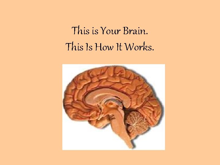 This is Your Brain. This Is How It Works. • 