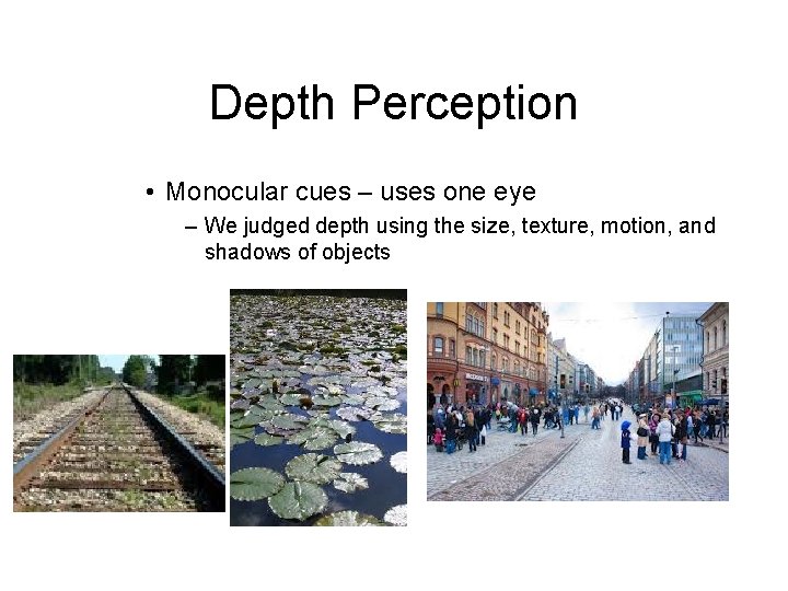Depth Perception • Monocular cues – uses one eye – We judged depth using