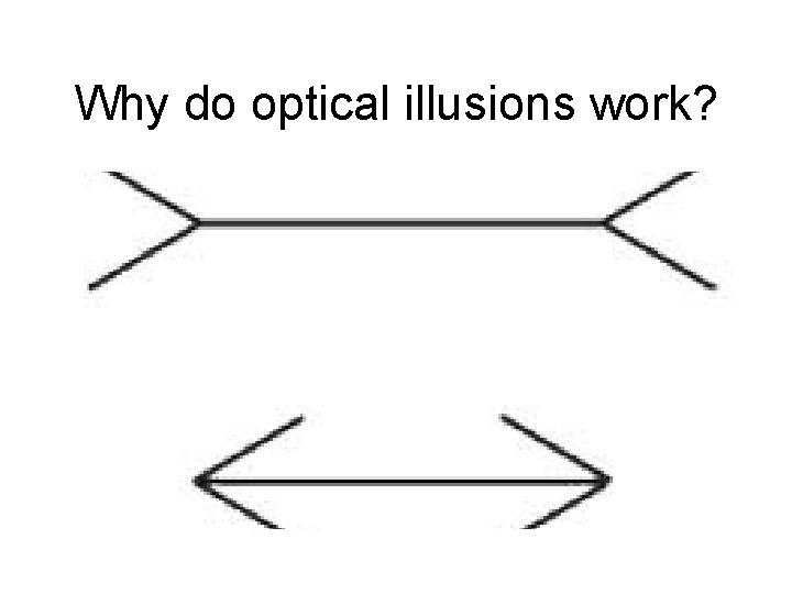 Why do optical illusions work? 