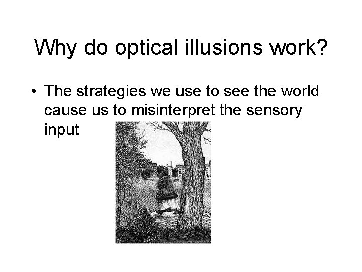 Why do optical illusions work? • The strategies we use to see the world