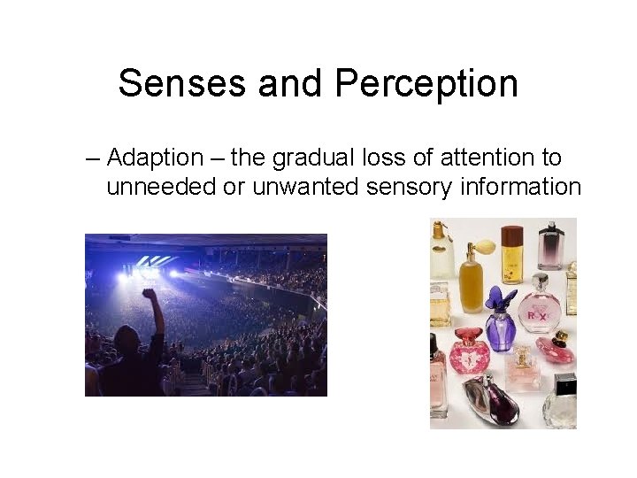 Senses and Perception – Adaption – the gradual loss of attention to unneeded or