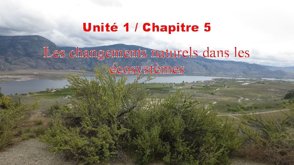 Unité 1 / Chapitre 5 Les changements naturels dans les écosystèmes 