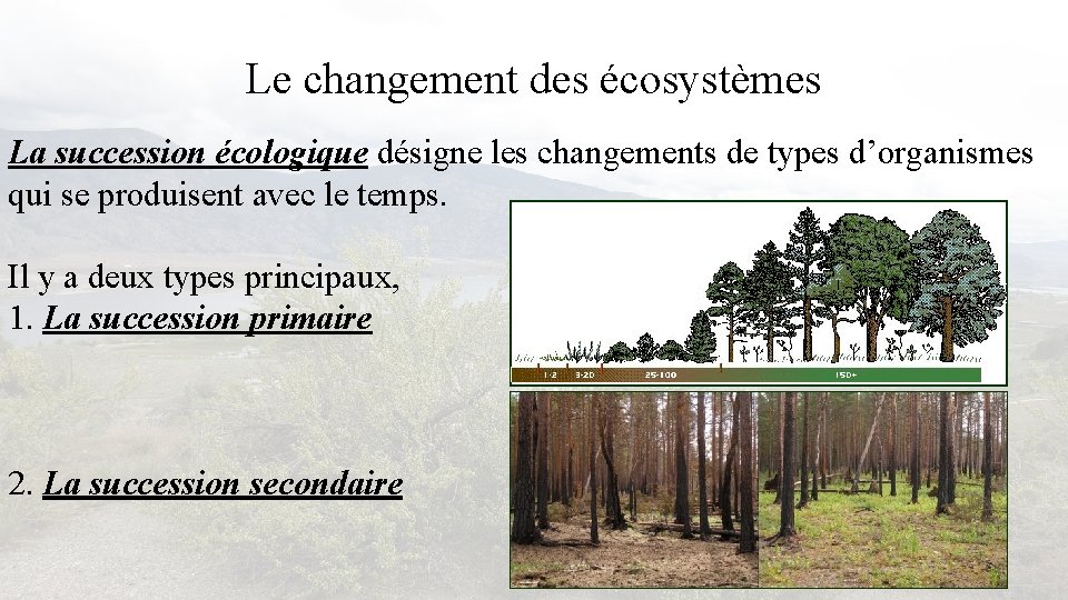 Le changement des écosystèmes La succession écologique désigne les changements de types d’organismes qui