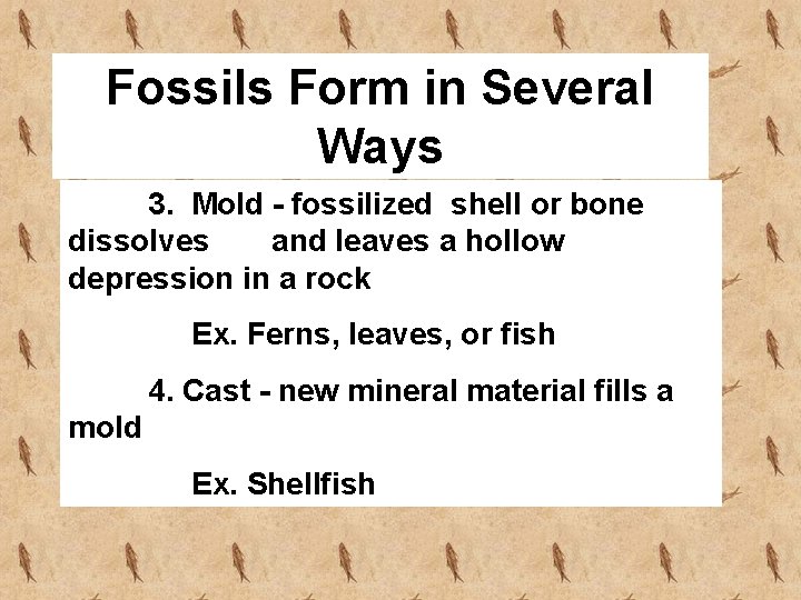 Fossils Form in Several Ways 3. Mold - fossilized shell or bone dissolves and
